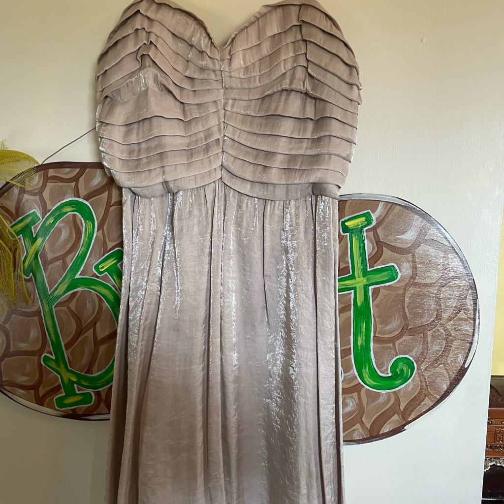 Like New Silver Party Dress Worn Once